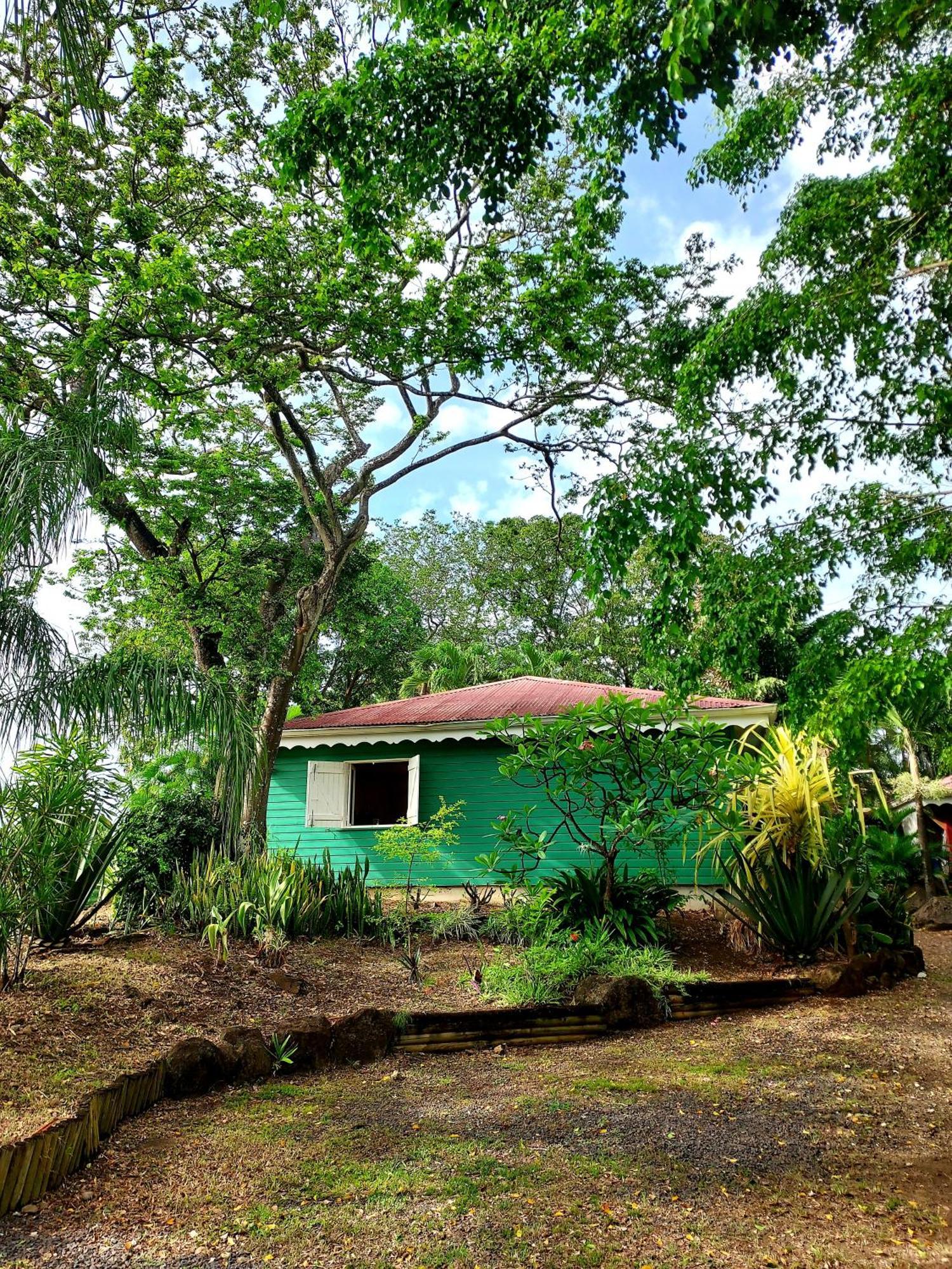 Bungalow Du Jardin Botanique De Деше Номер фото